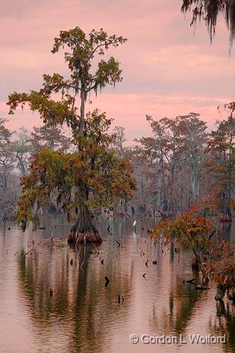 Lake Martin At Sunrise_25369.jpg - Photographed near Breaux Bridge, Louisiana, USA.